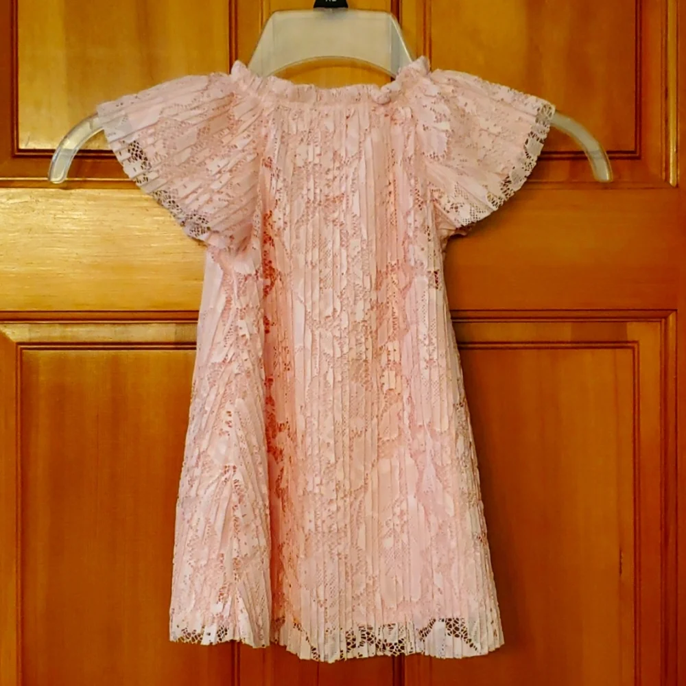 Just One You Carter's‎ Girls Pink Pleated Lace Dress Size 12M